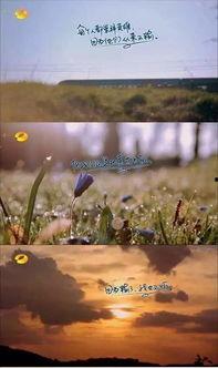 关于花季节最新爆料的文案,揭秘最新花季节秘闻大揭秘